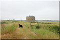 Martello Tower