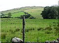 Hill grazings on the east side of Kilnhill Road