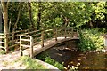 North Bridge over Horner Water