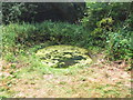 Pond in the grounds of Vinters Park