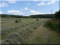 Hay bales in a field at The Bog