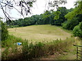 Pasture land by Kiln Wood