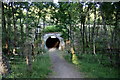 Pedestrian underpass under the A9 at Aviemore