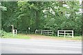 Equestrian crossing on Esher Common