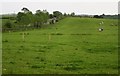 Field by the A388