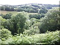 View over the upper Exe Valley