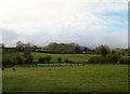 Grazing land south of the B8 at Cabra