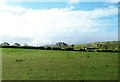 Grazing land east of the B8/Upper Kinghill Road junction