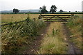 Farm track on to pasture by The Strand