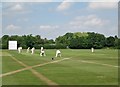 TL4357 : A league match at King's & Selwyn Colleges Ground by John Sutton