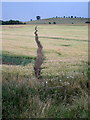 Footpath to Quainton with Grange Hill in the distance