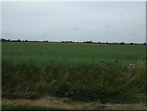 SK7333 : Crop field, Langar Lodge by JThomas