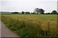 Farmland at Balloch