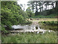 Ford on River Barle