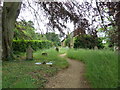 St James, Alderholt: churchyard (9)