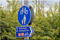 J4669 : National Cycle Network sign, Comber by Albert Bridge