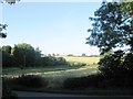 Fields opposite Ullesthorpe Court Hotel