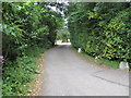 Spinney Lane looking north