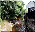 River Honddu flows towards a footbridge, Brecon