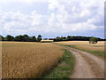 TM3386 : Lane to Shadowbarn Farm & footpath by Geographer