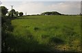 Toward New Mushton Farm