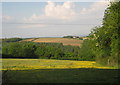 Field near High Kernock