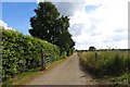 Footpath to Appleton