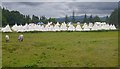 NH5241 : Tipi field, Belladrum by Craig Wallace