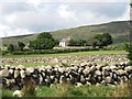 Traditional farmhouse at the foot of the Western Mournes