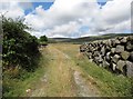 Little used farm access track leading from Tullyframe Road