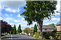 Detached houses on Northcote Road, Bramhall