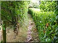 Footpath near Bowling Green