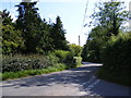 The Street, St.James South Elmham