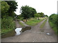 SJ5577 : Tracks beside Parkside Farm by Maggie Cox
