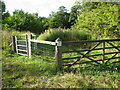 Entrance to Longacre Wood