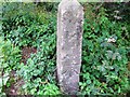 Benchmark on a boundary stone