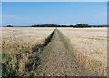 Bridleway to Red Quarry Plantation