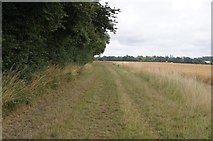 SU5548 : Footpath from Steventon towards Oakley by Mr Ignavy