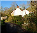 Orchard Cottage, Brockweir