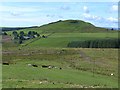 Fields by Stockbridgehill Farm