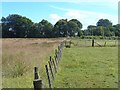 Fields near Landheads