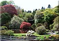 Rock garden and pool