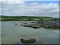 R3195 : Lough Gealain, Gortlecka by N Scott