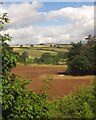 Field, Splatford