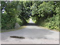 The lane to East Orielton farm