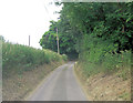 Mill Lane west of Stoke Priory