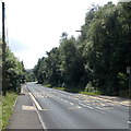 Bus stops between Hollybush and Markham