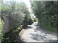 Burley Lane - viewed from Westbourne Drive