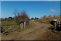 Track on the north side of Moreton Hill Farm, Standish