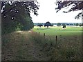 Farm track to accommodation bridge